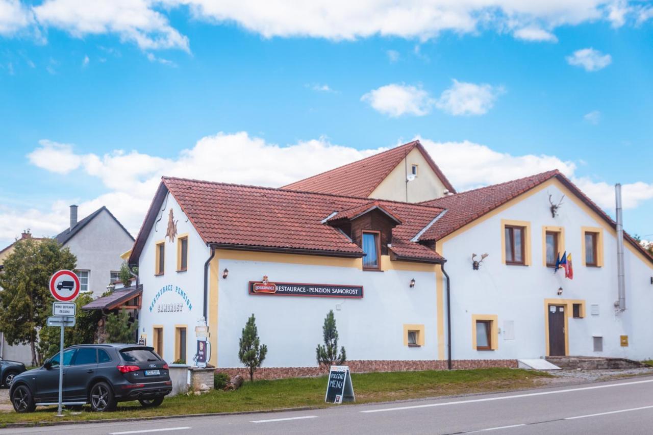 Penzion Samorost Jarosov nad Nezarkou Exterior photo